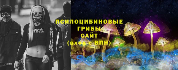 бутират Каменка