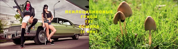 наркотики Каменск-Шахтинский