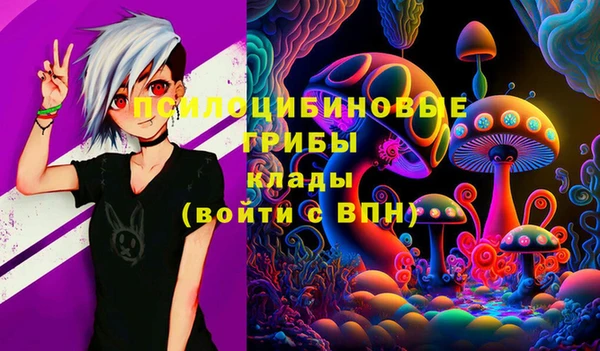 амфетамин Каменногорск