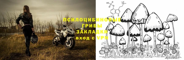 амфетамин Каменногорск